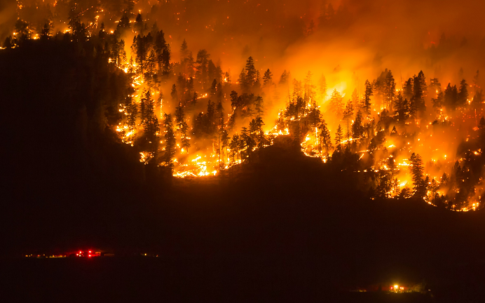 United States of America: California wildfires